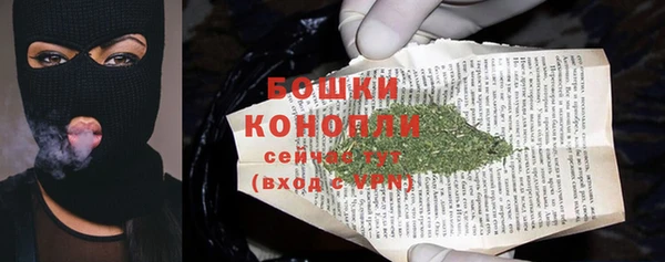 метадон Белокуриха