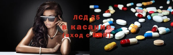 мяу мяу мука Богданович