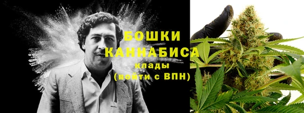 метадон Белокуриха
