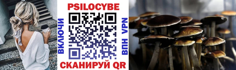 Галлюциногенные грибы прущие грибы  Облучье 